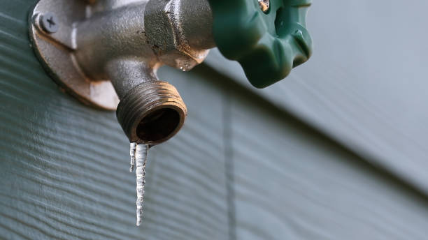 Best Sprinkler Systems  in Lonaconing, MD